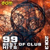 99 Best of Club Hits 2013 - Top EDM, Rave, Psytrance, Electro, Techno artwork