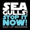 Seagulls! (Stop It Now) - Bad Lip Reading lyrics