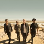 The Fray