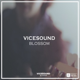 Blossom Vicesound
