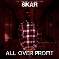 All Over Profit - Skar