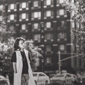 집으로 가는 길 - Single