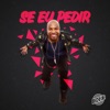 Se eu pedir - Single