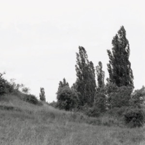 Qualzow - Single