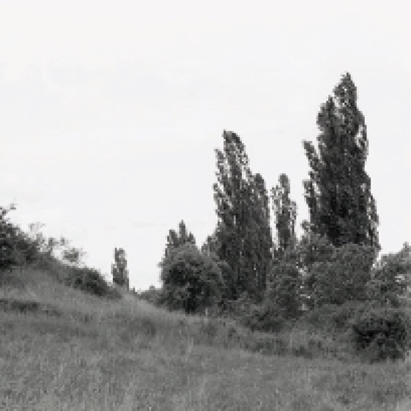 Qualzow - Single