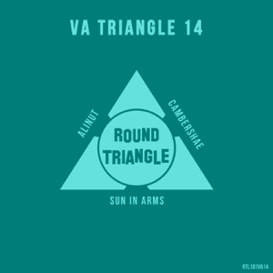 VA Triangle 14 - Single