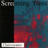 Screaming Trees