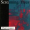 Strange out Here - Screaming Trees lyrics