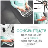 Back to School: American Percussion — Brain Stimulation Music Collective