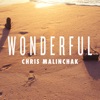 Wonderful - Single