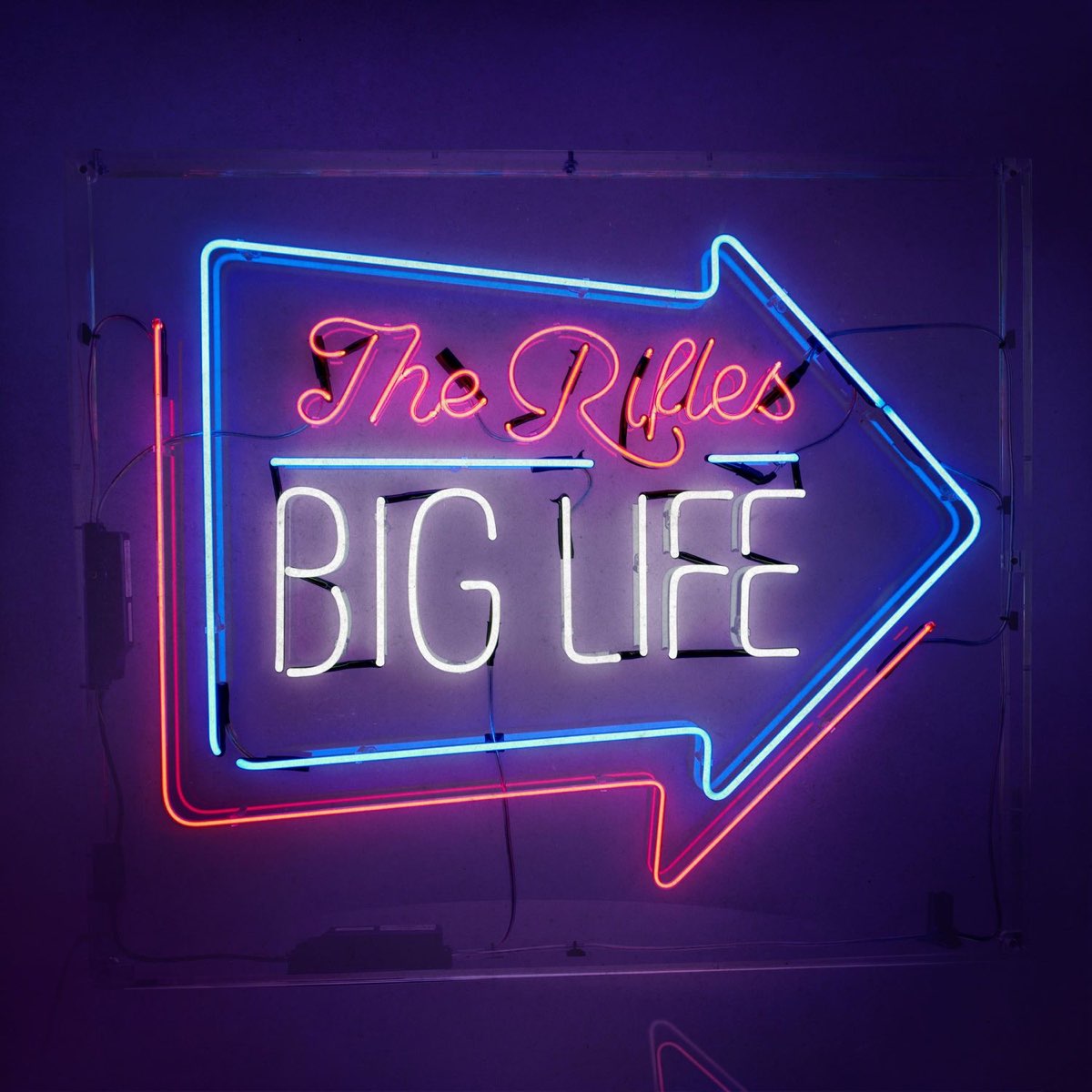 Do life big. Big Life. Бига лайф. Big Life - big Life 2011. Big Life (Newman) 2011 - big Life картинки.