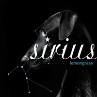 Sirius - Lemongrass