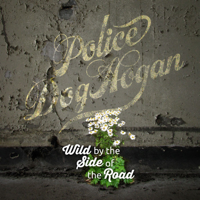 Police Dog Hogan - Wild By the Side of the Road artwork