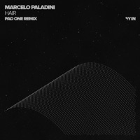 Hair (Pad One Remix) - Single - Pad One & Marcelo Paladini