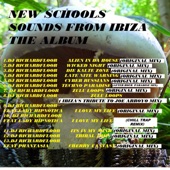Zulu Loops (Ibiza's Tribute To Joe Arroyo Mix) artwork
