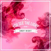 Andy Night - You See the Light artwork