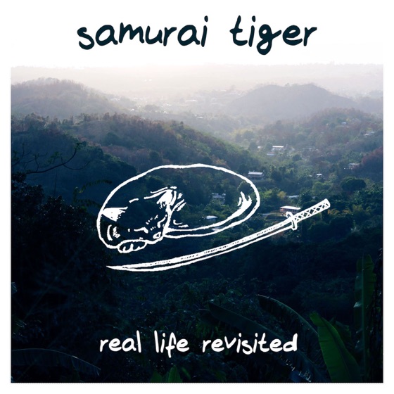Cover artwork for Bedroom Window
