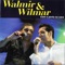 Assino Com X / Minha Serenata - Walmir & Wilmar lyrics