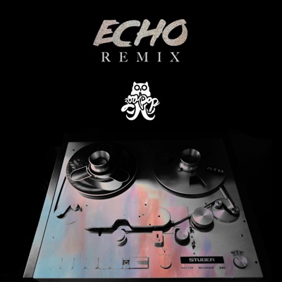 Echo (Zoo Pop Remix)-thumbnail