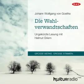 Die Wahlverwandtschaften