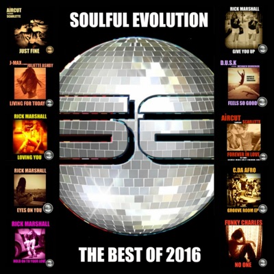Soulful Evolution the Best Of 2016