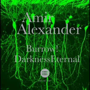 Burrow / Darkness Eternal - Single