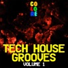 Tech House Grooves, Vol. 1