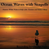 Ocean Waves with Seagulls (Natures White Noise to Help Calm Tinnitus and Induce Sleep)