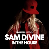 Defected Presents Sam Divine In the House (Mixed) artwork