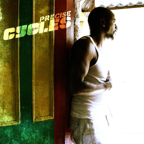 Precise - Apple Music