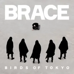 BRACE - Birds of Tokyo BRACE - Birds of Tokyo