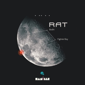 Bodhi / Figtree Bay - EP