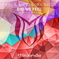 Did We Feel (Remixes, Pt. 2) - EP - Feel & Alexandra Badoi