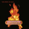 Conjunto Universal - Ando Buscando una Novia