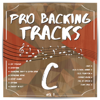 Pro Backing Tracks C, Vol. 7 - Pop Music Workshop