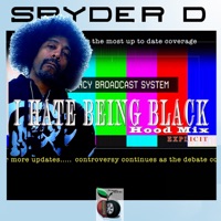 I Hate Being Black (DJ K Wiz Remix) - Single - Spyder D.