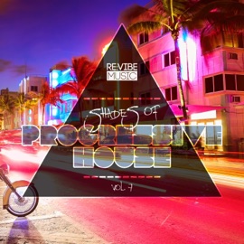 Through Your Eyes Loreno Mayer & Hidden Agenda