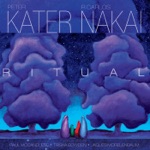 Peter Kater & R.Carlos Nakai - Meeting at Twilight