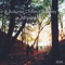 Orbit King - Denis Rusnak lyrics