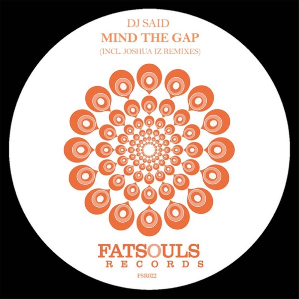Mind the Gap - EP
