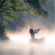 A Flute & Thunder (Instrumental Meditation With Bamboo Flute & Nature Sounds) - Manose
