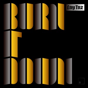 Burn It Down - Single