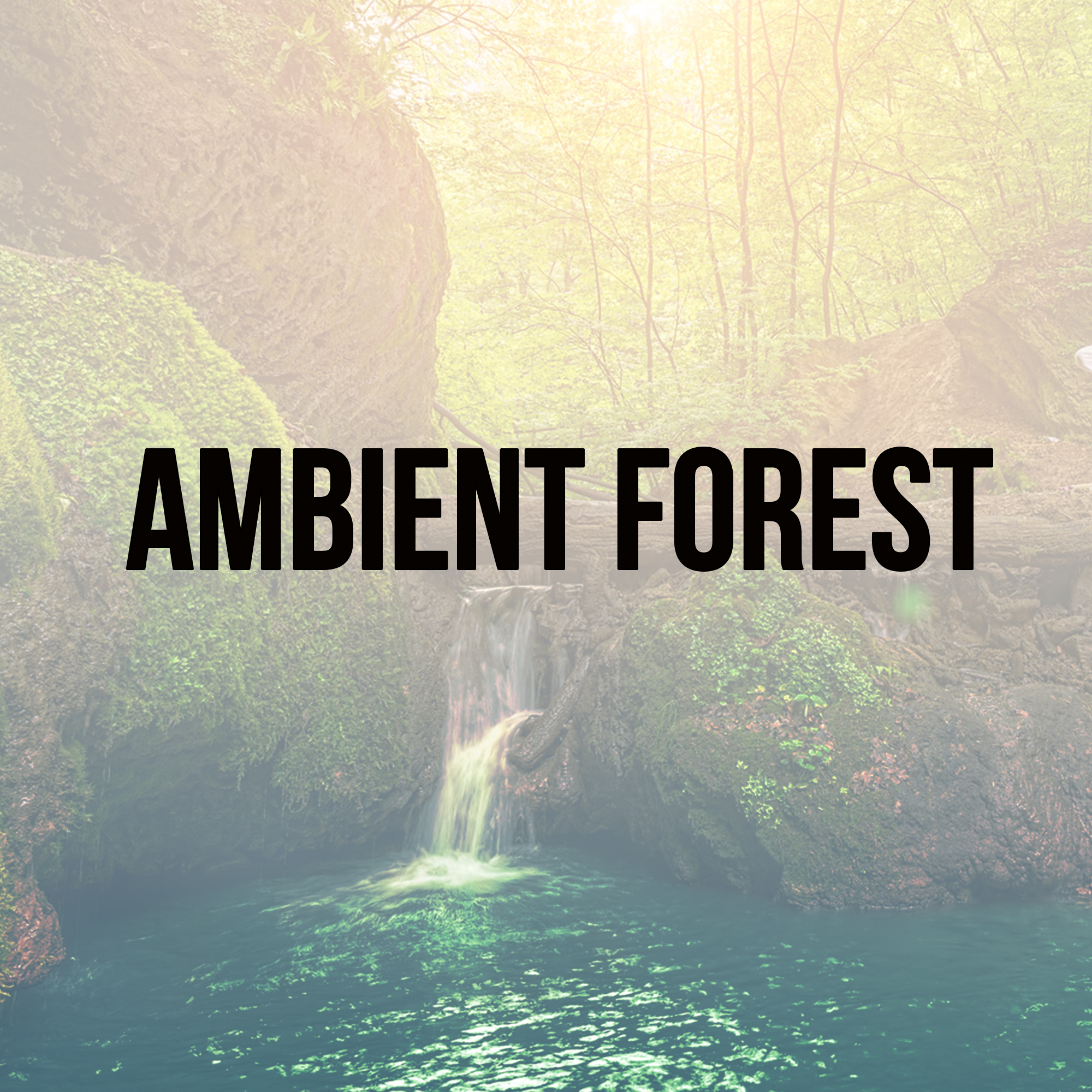 Ambient Forest - EP