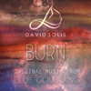 Burn (Orchestral Version) - David Solís