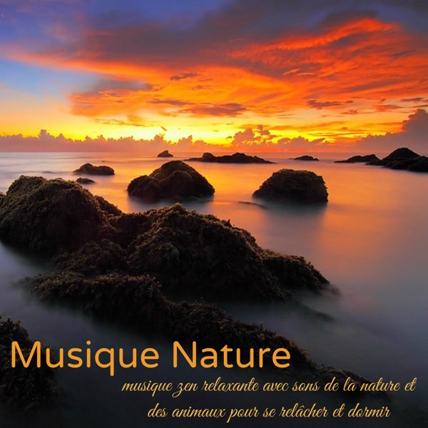 Musique Nature – Musique zen relaxante avec sons de la nature et des  animaux pour se relâcher et dormir - Album by Bruitage Club & Musique Zen  Garden - Apple Music