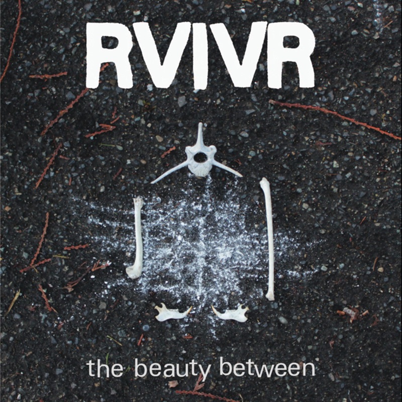 The Beauty Between