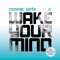 Wake Your Mind (Extended Mix) - Cosmic Gate & Cary Brothers lyrics