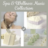 Spa & Wellness Music Collection – Background Music for Beauty Center, Massage, Spa, Wellness, Relaxation - Mindfulness Meditation Music Spa Maestro
