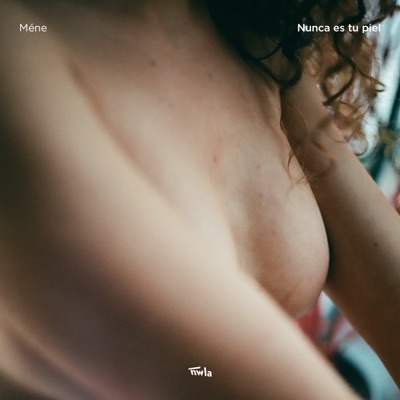 Nunca Es Tu Piel - Single