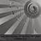 Survivors (Ekomatik Remix) - Gigi Squillante & De Feo lyrics